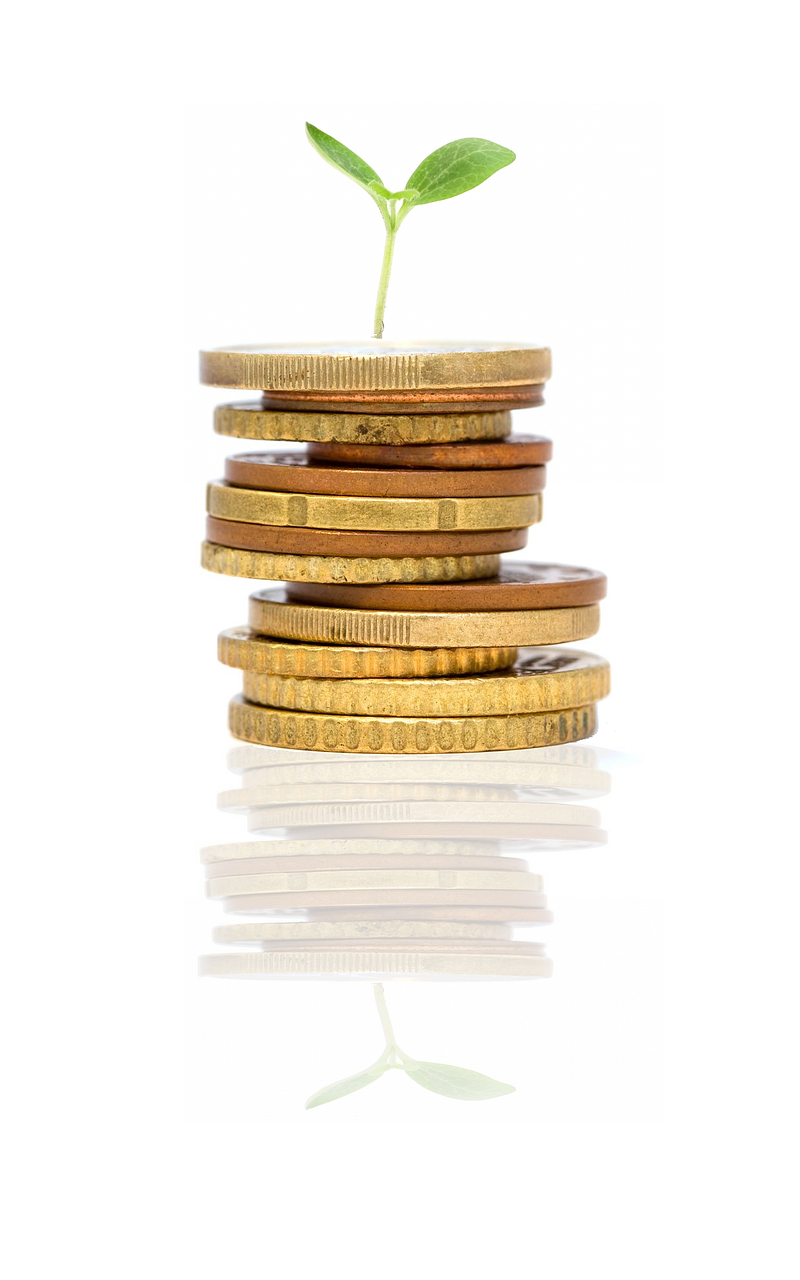startup, growing, plant, idea, investment, nature, money, sprout, reflection, investment, investment, investment, investment, investment, money, money, money, sprout